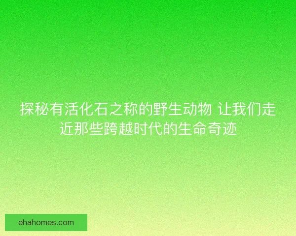 探秘有活化石之称的野生动物 让我们走近那些跨越时代的生命奇迹