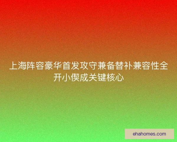 上海阵容豪华首发攻守兼备替补兼容性全开小偰成关键核心