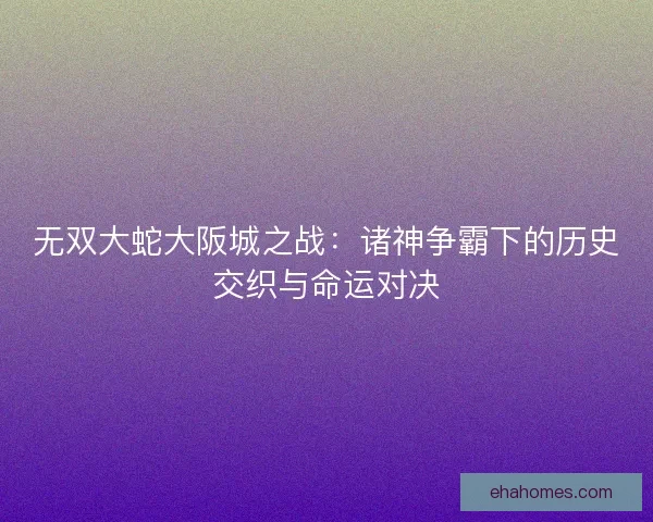 无双大蛇大阪城之战：诸神争霸下的历史交织与命运对决