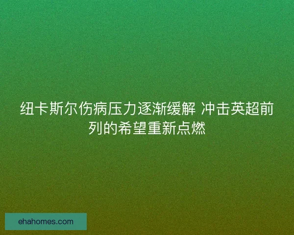 纽卡斯尔伤病压力逐渐缓解 冲击英超前列的希望重新点燃 纽卡斯尔伤病压力逐渐缓解 冲击英超前列的希望重新点燃