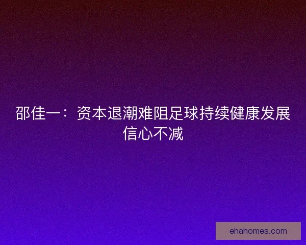 邵佳一:资本退潮难阻足球持续健康发展信心不减 邵佳一:资本退潮难阻足球持续健康发展信心不减